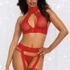 Dreamgirl Rogue Rouge Bra And Garter Set