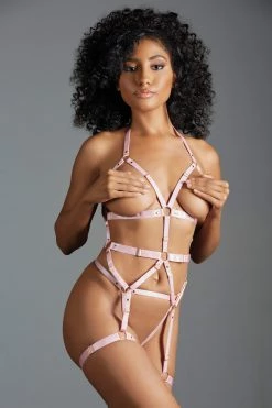 Allure Pink Claire Strappy Garter Bustier -Garter Lingerie Shop unnamed file 2071
