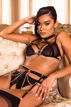 Vinyl And Chains Harness Bra And Crotchless Panty -Garter Lingerie Shop unnamed file 59